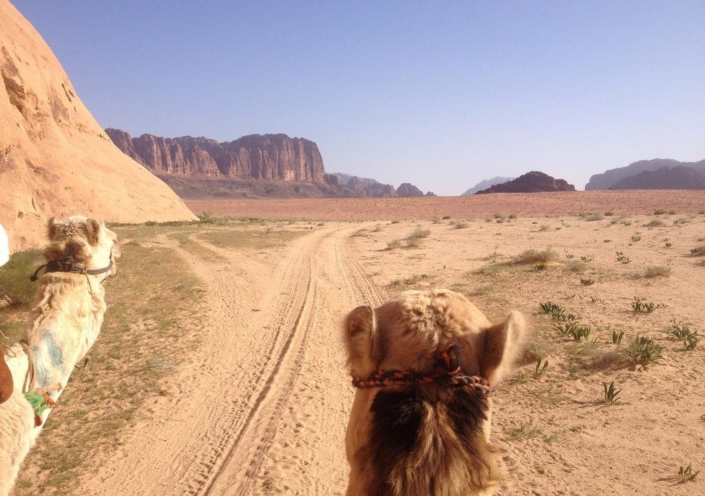 cameltour4 cameltour4