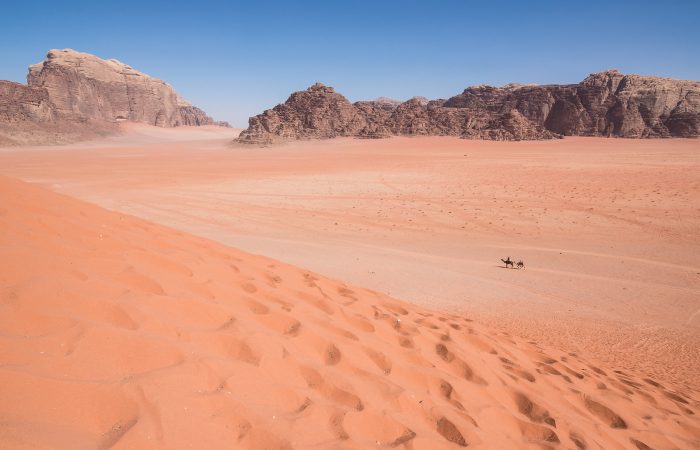 desertscape 5c